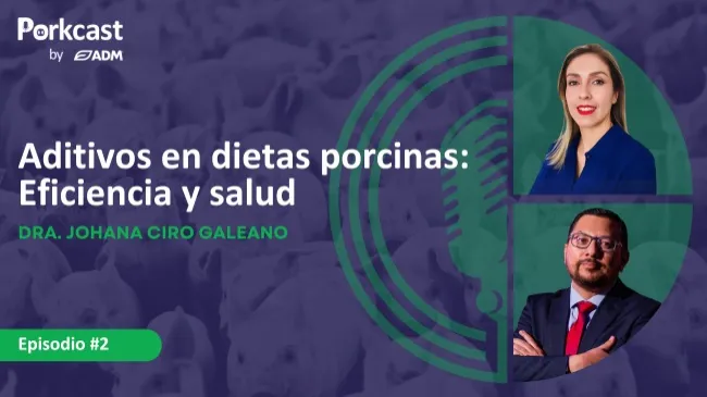 Episodio #2 de PorkCast by ADM: Aditivos en dietas porcinas: Eficiencia y salud
