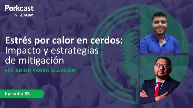 Episodio #3 de PorkCast by ADM: Estrés por calor en cerdos: Impacto y estrategia de mitigación
