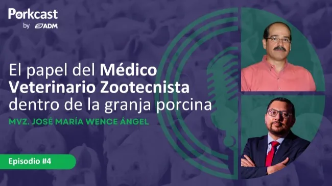 Episodio #4 de PorkCast by ADM: El papel del Médico Veterinario Zootecnista dentro de la granja porcina
