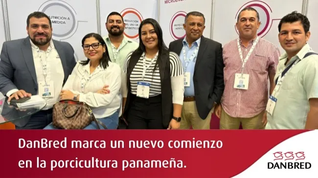 DanBred inicia una nueva etapa en Panamá: genética danesa que transforma la producción porcina