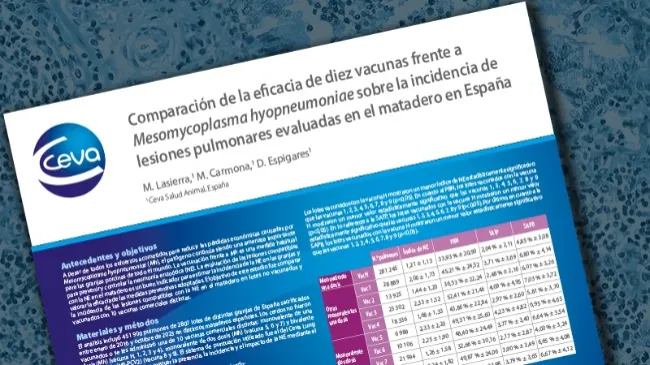 Comparación de la eficacia de diez vacunas frente a Mycoplasma hyopneumoniae sobre la incidencia de lesiones pulmonares en matadero en España