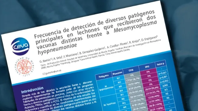 Frecuencia de detección de diversos patógenos principales en lechones que recibieron dos vacunas distintas frente a Mesomycoplasma hyopneumoniae