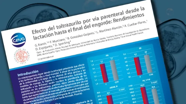 Efecto del toltrazurilo por vía parenteral desde la lactación hasta el final del engorde: Rendimientos