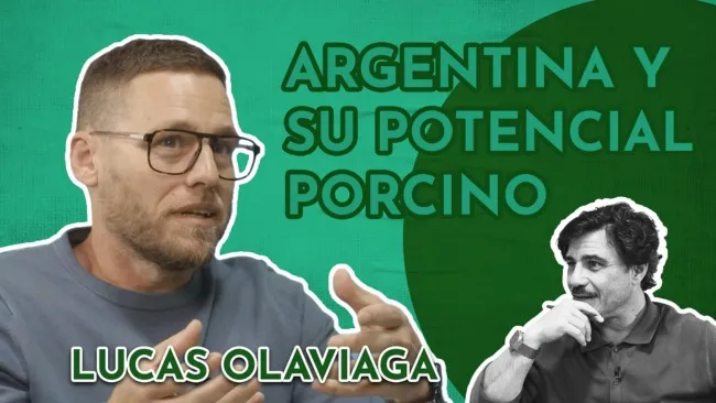 El sector porcino en Argentina: desafíos y oportunidades para convertirse en una potencia agroindustrial