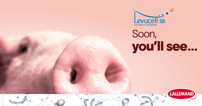 The strain Saccharomyces cerevisiae var. boulardii is backed by 300+ s...