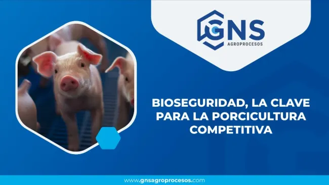 Bioseguridad, la clave para la porcicultura competitiva.