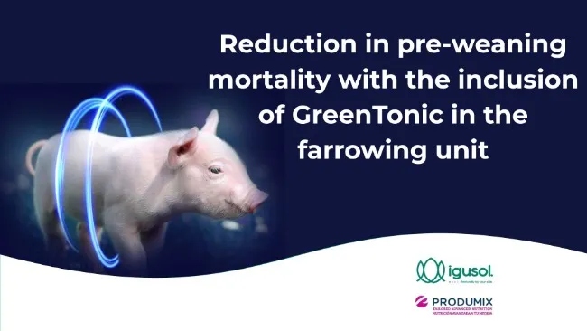 Reduction in pre-weaning mortality with the inclusion of GreenTonic in the farrowing unit