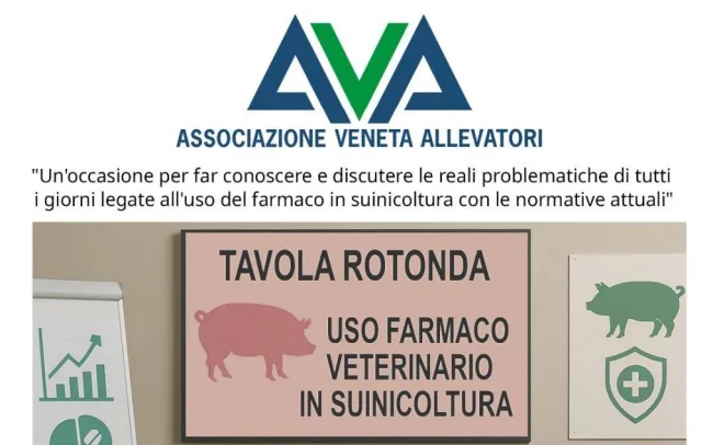 Incontro il 12 maggio 2025 presso la sede di AVA: