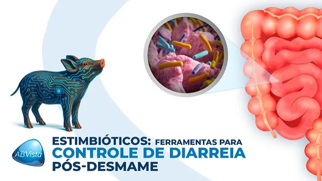 Estratégias para redução de diarreia pós-desmame em leitões