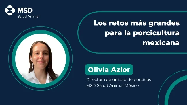 Bioseguridad y adaptación: claves para la porcicultura en México
