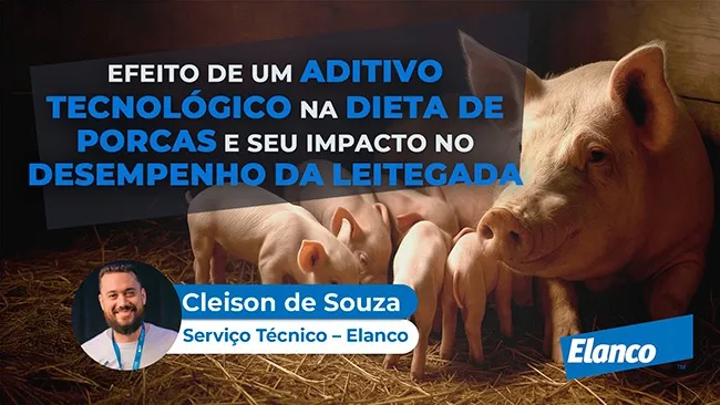 Aditivo tecnológico para maximizar a produtividade da leitegada