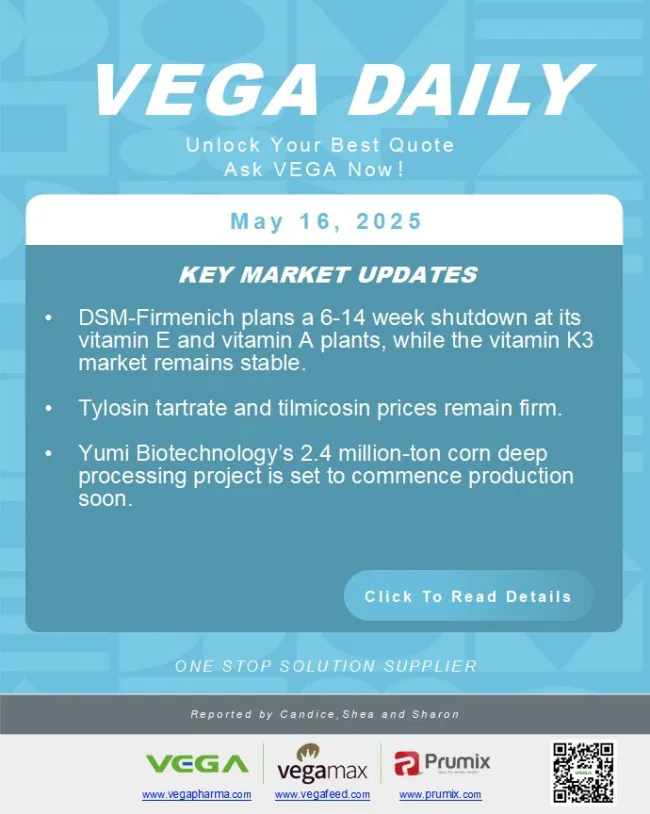 Vega daily Dated 2025-5-16