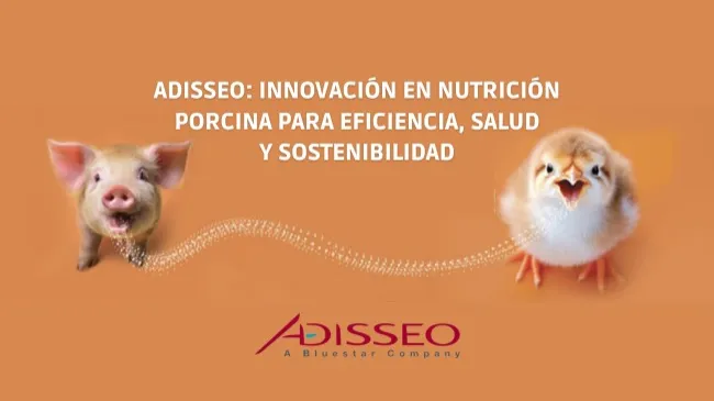 Reducción del contenido de proteína cruda en dietas para cerdos: grandes beneficios conllevan grandes responsabilidades