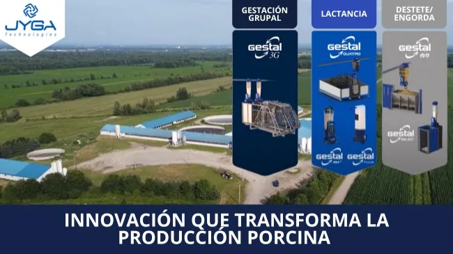 Alimentación de precisión para cerdos: Innovación que transforma la Producción Porcina