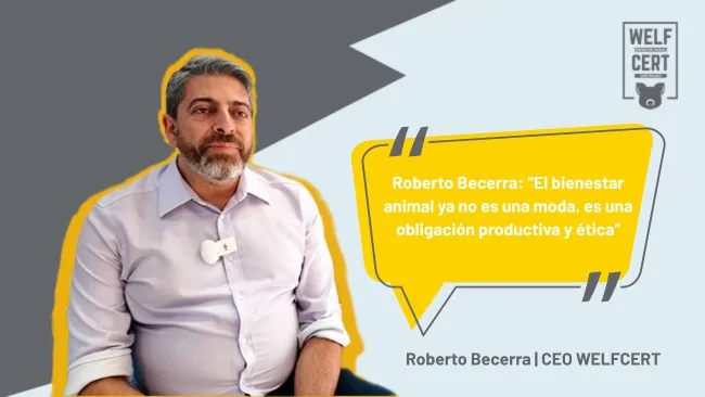 El bienestar animal como base para una porcicultura sostenible: visión de WELFCERT