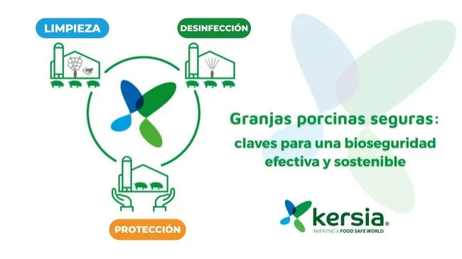 Bioseguridad integral en la porcicultura: una estrategia esencial para la sostenibilidad sanitaria