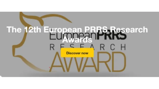 How to submit your work for the European PRRS Research Awards 2025