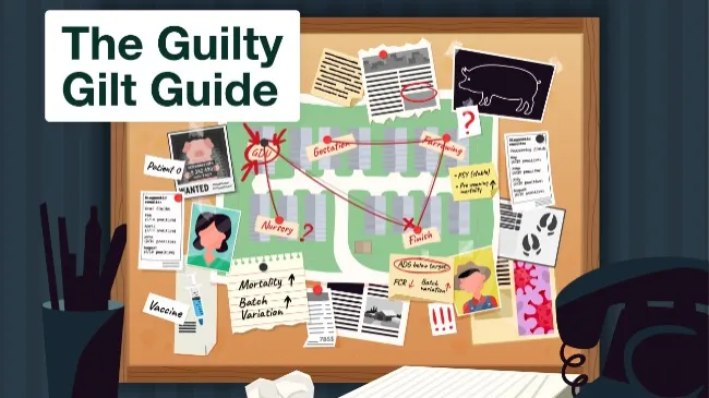 Guilty Gilt Guide