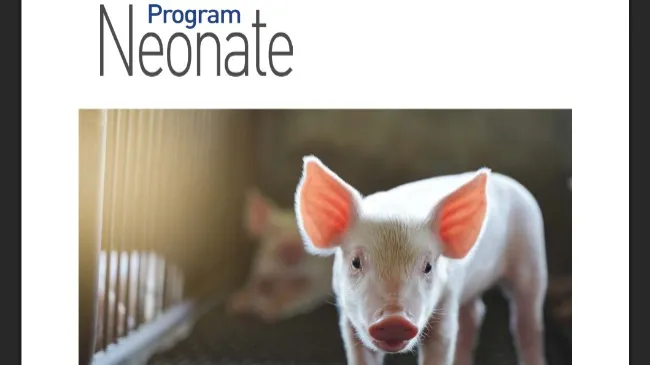 Programa Neonate: El poder del probiótico de levadura Actisaf® Sc47 para mejorar la ingesta de calostro