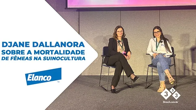 Djane Dallanora fala sobre sobrevivência de matrizes com foco na saúde e prevenção