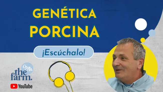 La revolución de la edición genética porcina: claves y desafíos con el Dr. Joaquín Gadea