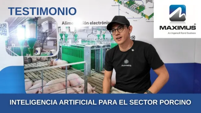 [Testimonio] Inteligencia Artificial para el sector porcino: mejor control de peso junto a Maximus