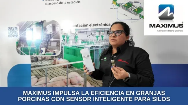 Maximus impulsa la eficiencia en granjas porcinas con sensor inteligente para silos
