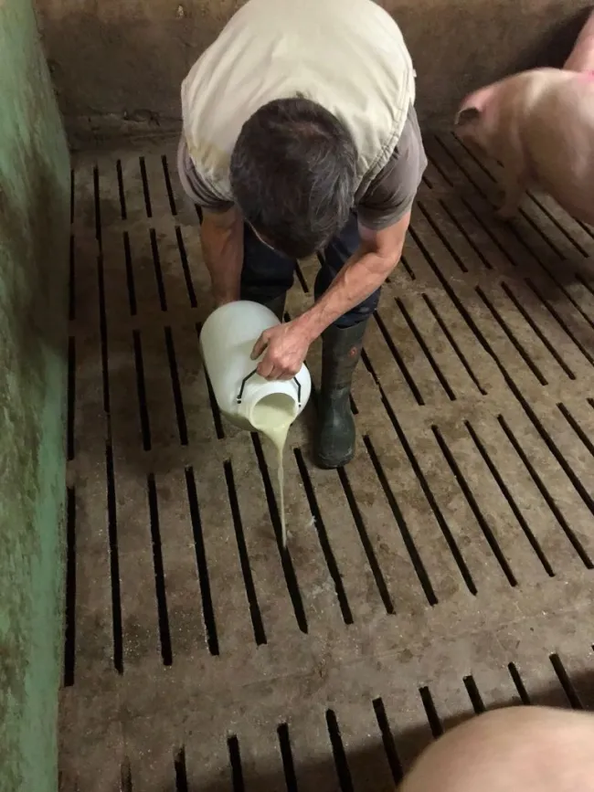 EL USO DEL ADITIVO PARA PURINES Active NS REDUCE ATASCOS Y FACILITA EL...
