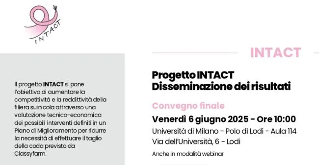 Convegno finale del progetto INTACT - Disseminazione dei risultati