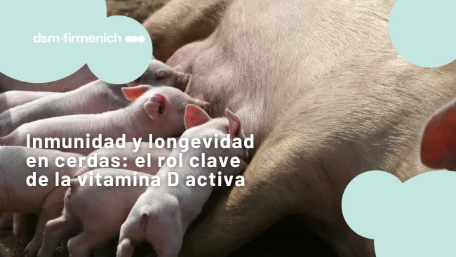 Longevidad productiva: la importancia de la inmunidad para el éxito reproductivo de las madres