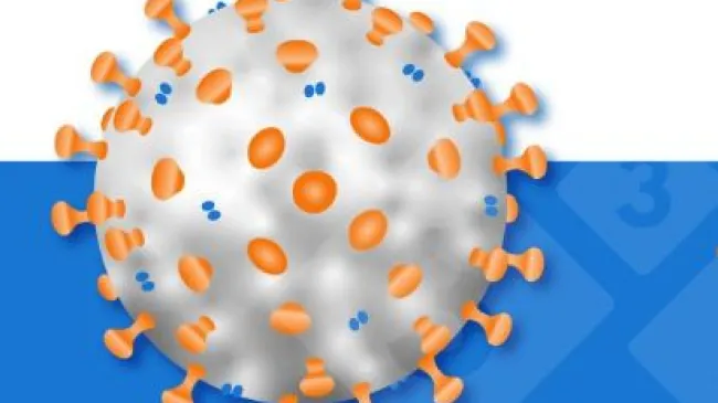 França: nova estirpe da gripe suína