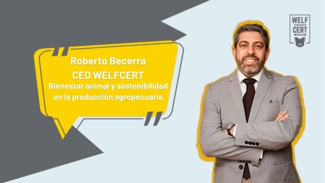 WELFCERT: bienestar animal como eje de la sostenibilidad y competitividad en la producción agropecuaria