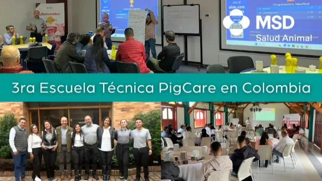 MSD Salud Animal Colombia celebra la 3era Escuela Técnica PigCare: Estrategias sanitarias para una porcicultura más productiva