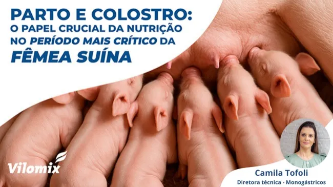Um bom parto depende do manejo nutricional periparto