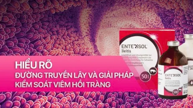 HIỂU VỀ ĐƯỜNG TRUYỀN LÂY CỦA VIÊM HỒI TRÀNG