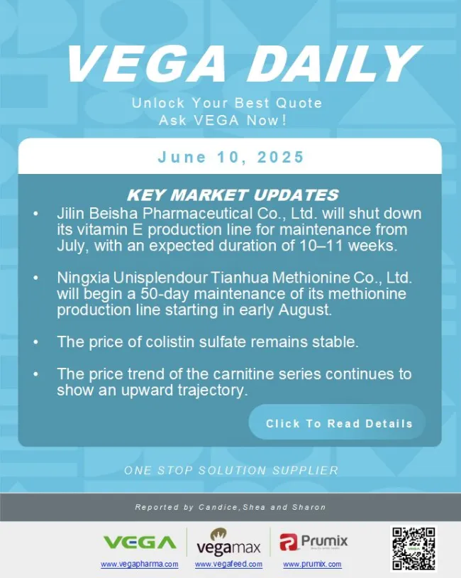 Vega daily Dated 2025-6-10