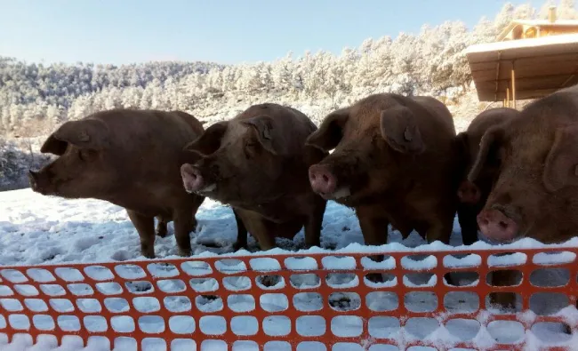 nieve!!!