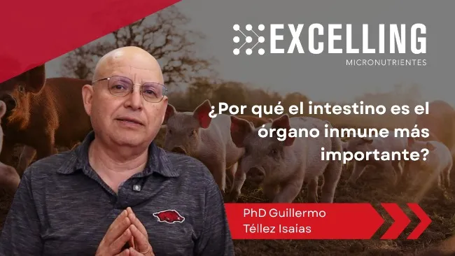 Salud intestinal: la clave universal para el bienestar animal, según PhD Guillermo Téllez Isaías