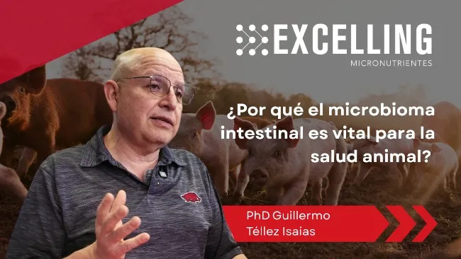 Microbioma intestinal: el aliado invisible para la salud animal con PhD Guillermo Téllez Isaías