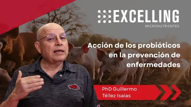 PhD Guillermo Téllez Isaías revela el vínculo entre dieta, microbioma y salud integral