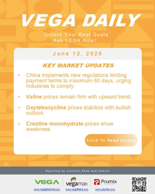 Vega daily Dated 2025-6-12