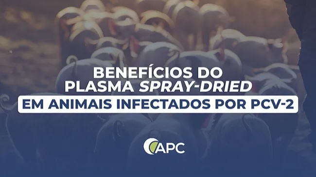 Plasma e o Circovírus suíno tipo 2 (PCV-2)