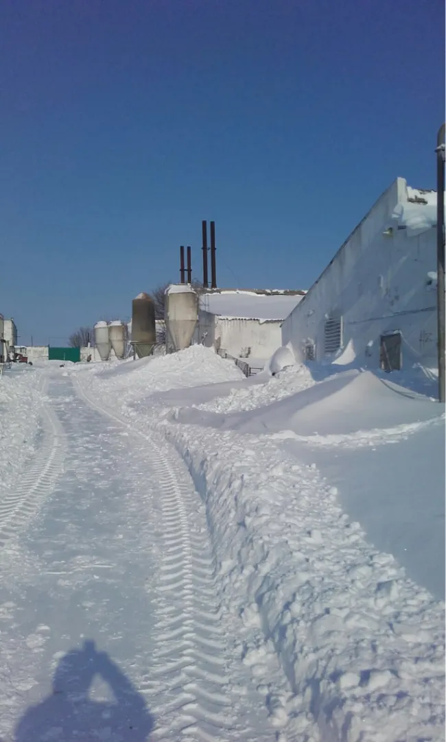 Winter ....!!