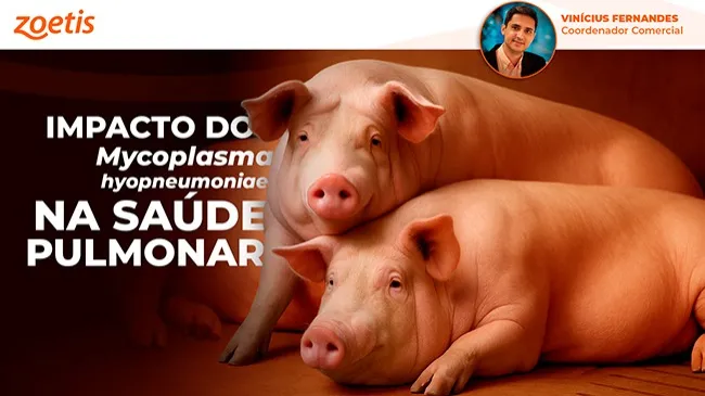 <i>Mycoplasma hyopneumoniae</i> – Qual é a relevância desse agente primário na saúde pulmonar?