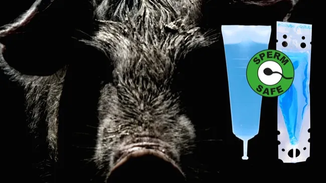 Ensure semen fertility with high-quality packaging