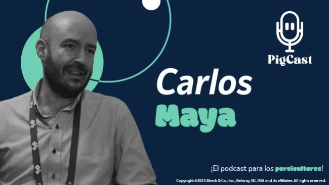 Nuevo episodio de Pigcast: Carlos Maya ¿Sabías que un giro estratégico puede transformar una industria?