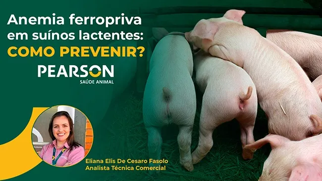 Prevenção da deficiência de ferro em leitões lactentes
