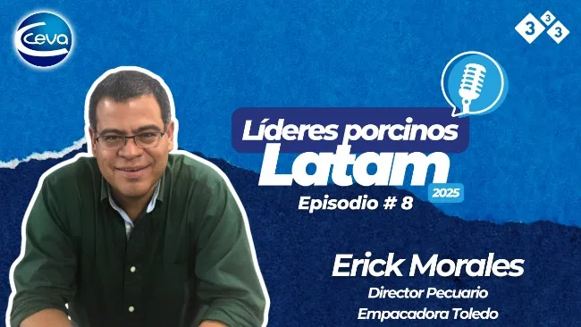 Empacadora Toledo: Estrategias para la mejora continua en la porcicultura