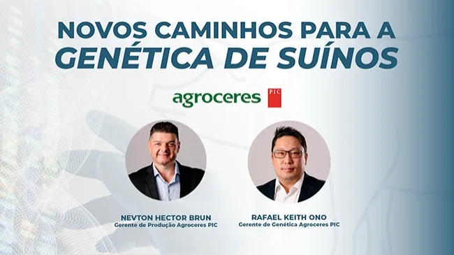 Novos caminhos para a genética de suínos