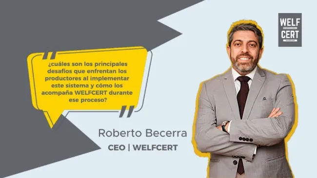 WELFCERT: certificación de bienestar animal adaptada a la realidad latinoamericana